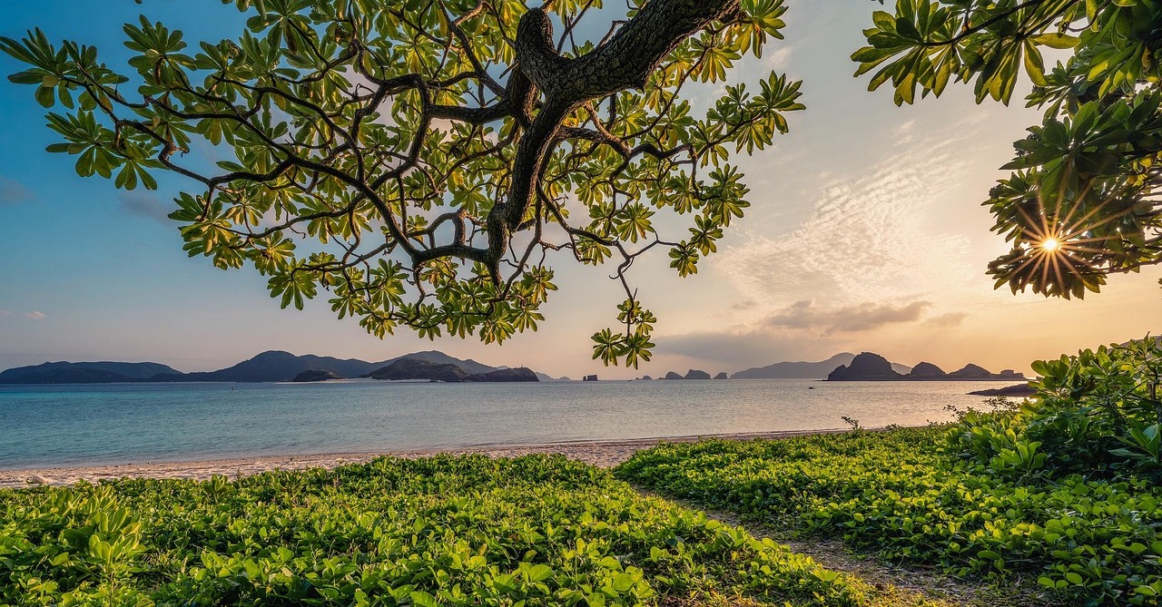 Wie du herausfindest, was du wirklich willst