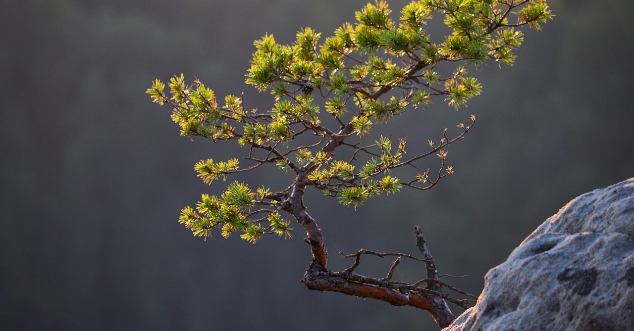 Die größten Fehler beim Vermögensaufbau I