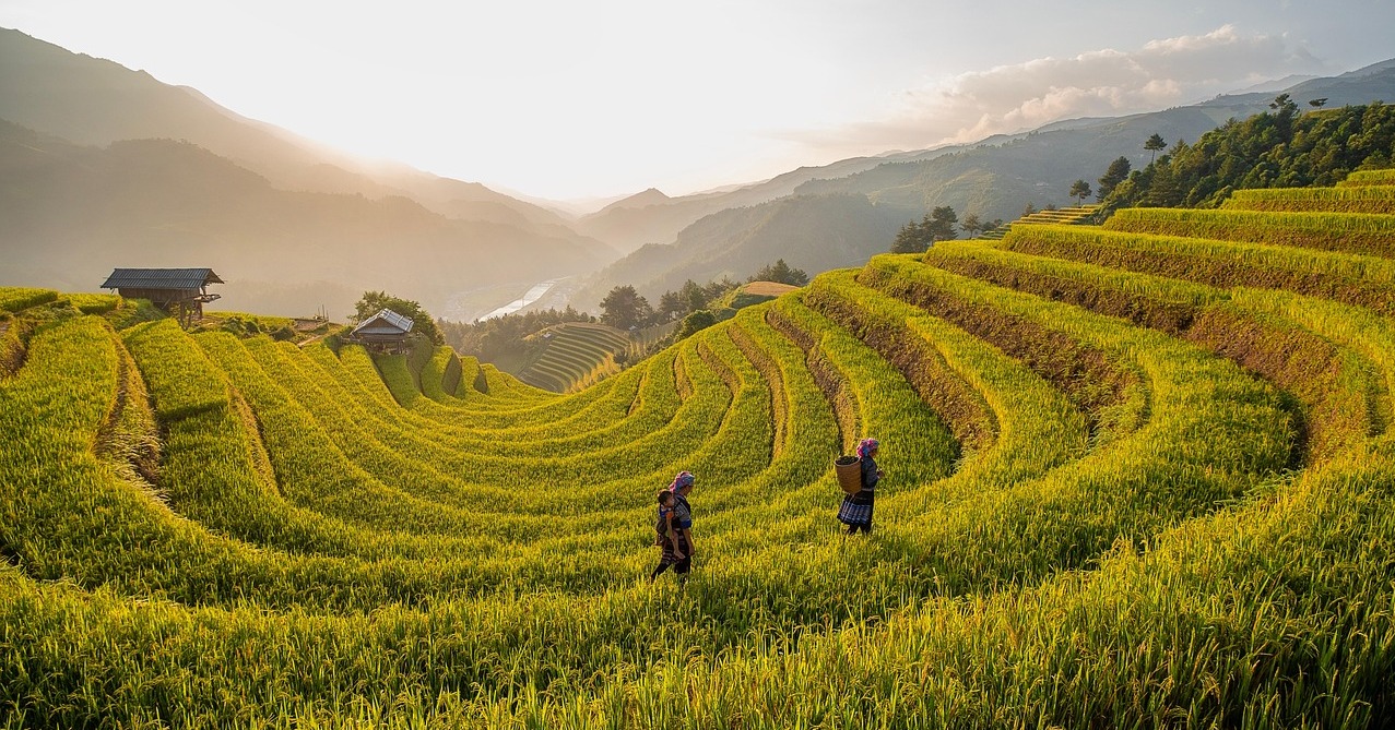 Die größten Fehler beim Vermögensaufbau II